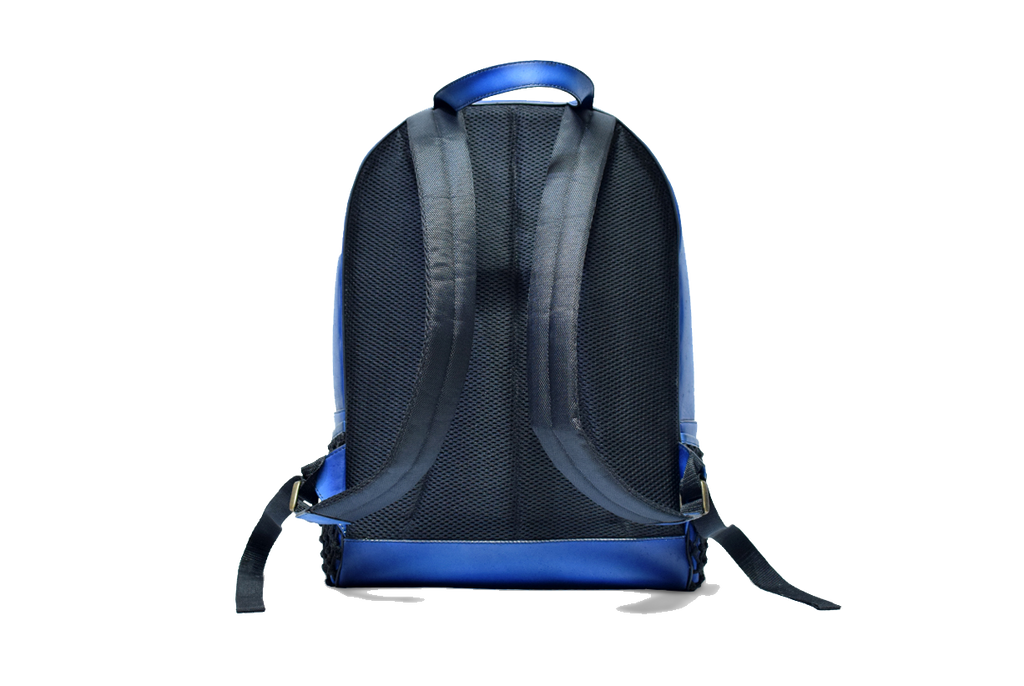Back view of Leather Domel Backpack in blue