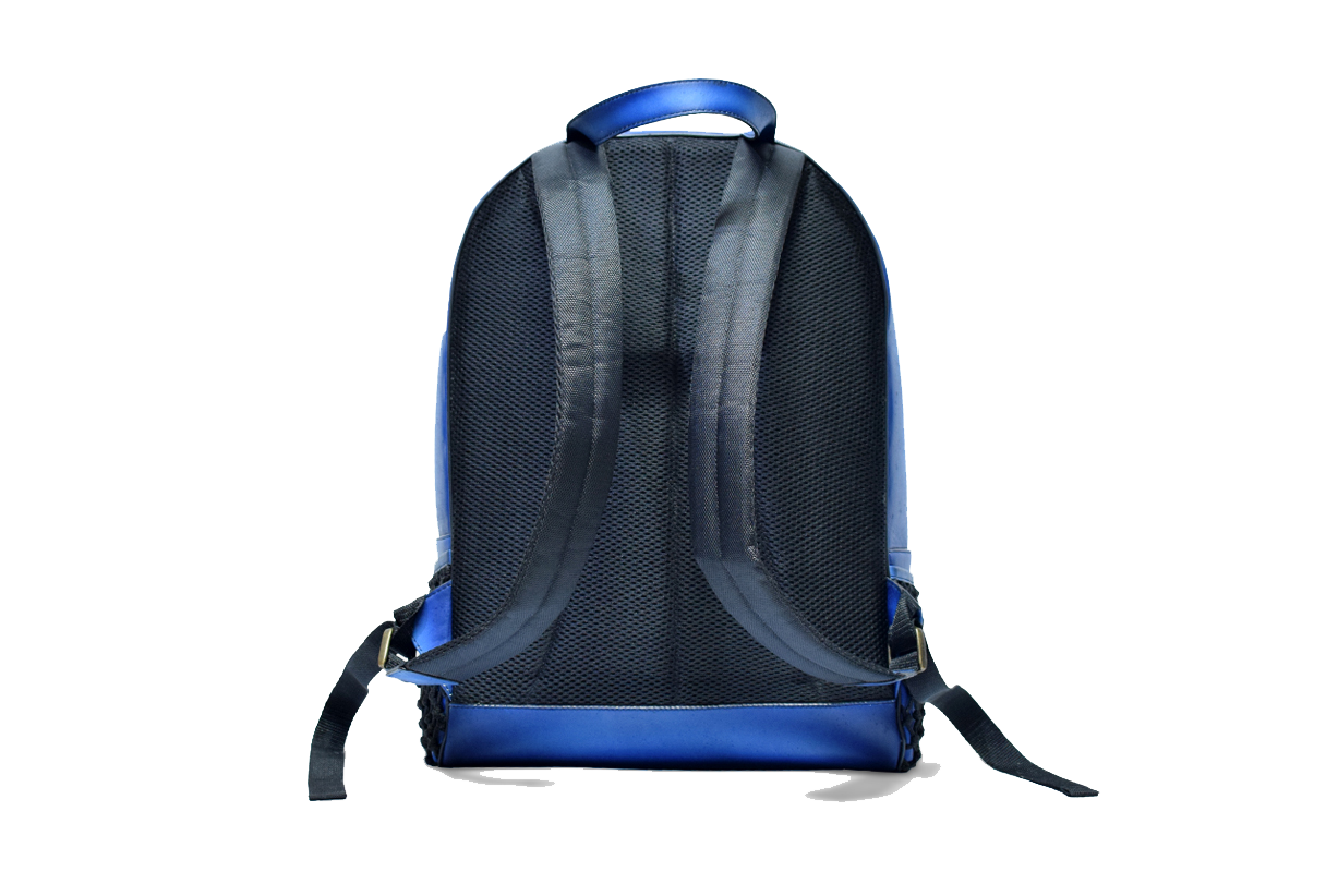 Back view of Leather Domel Backpack in blue