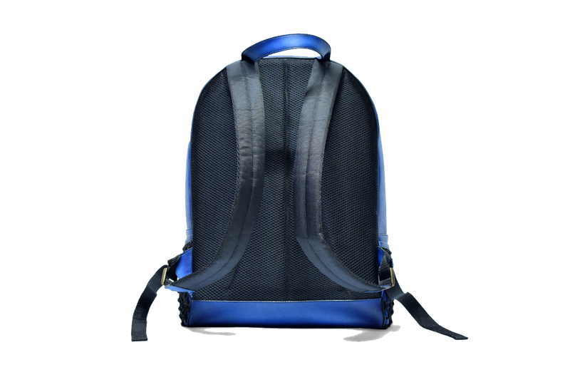 Back view of Leather Domel Backpack in blue